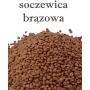 SOCZEWICA BRĄZOWA